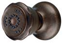 1.5 gpm 2-Setting Wall Mount Body Spray in Tumbled Bronze