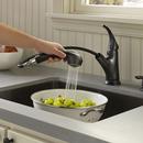 Pfister Matte Black Single Handle Pull Out Kitchen Faucet 