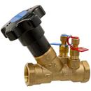 1/2 in. NPT Brass Balanced Globe Valve