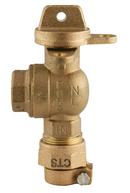 1 in. Pack Joint x FIPT Brass Ball Valve with Tee Handle