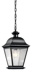 150W 1-Light Outdoor Hanging Pendant in Black