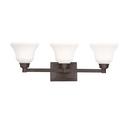 Kichler Lighting Olde Bronze 100W 3-Light Medium Incandescent Bath Light 