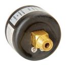 H.O. Trerice Black 1-1/2 x 1/8 in. Back Mount Pressure Gauge in Black 