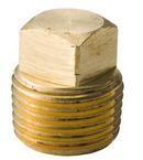 MNPT Brass Square Head Solid Plug 