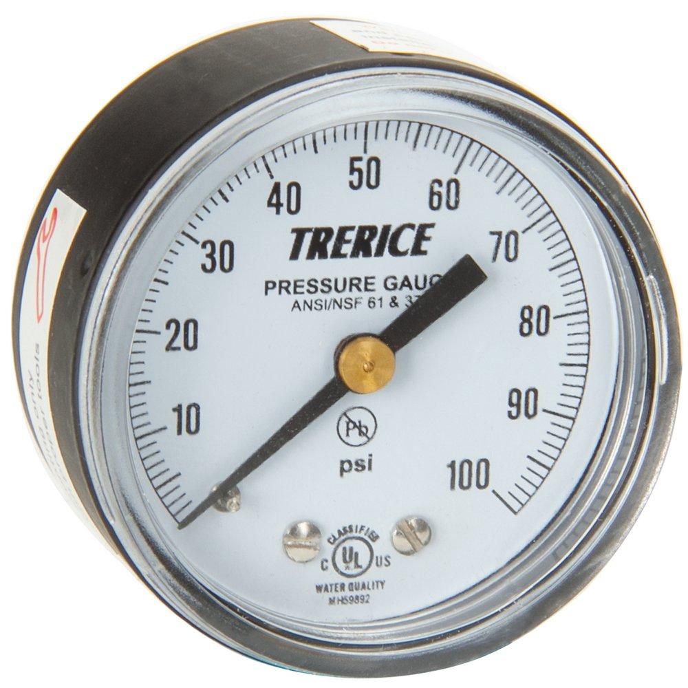 H.O. Trerice Black 2 x 1/8 in. Back Mount Pressure Gauge 