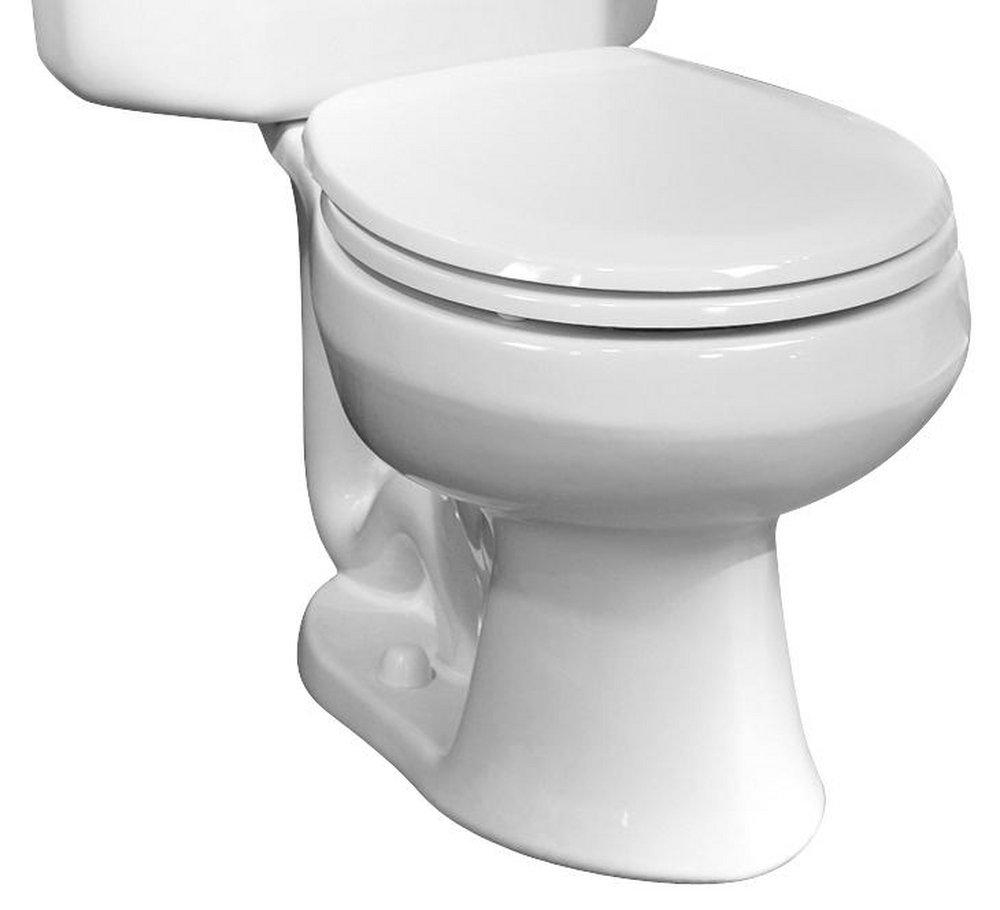 Briggs Plumbing Products White Toilet Bowl 