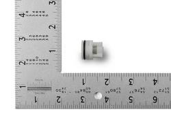 2 in. Check Valve For CC, CR, NP and NR