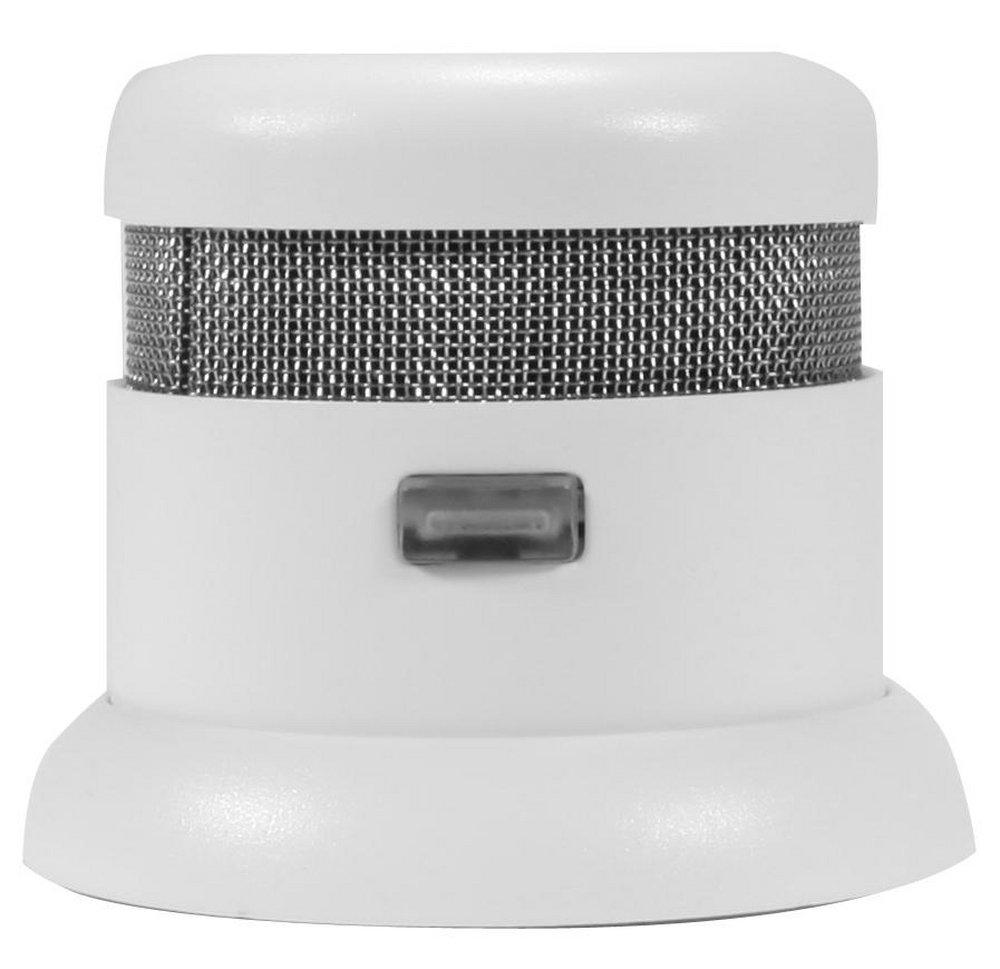BRK Electronics White Smoke Alarm 