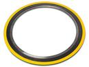 20 in. 300# Spiral Wound Gasket