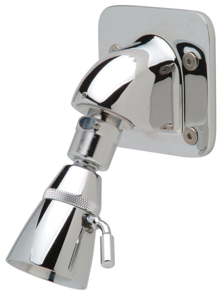 Zurn Chrome Plated Single Function Needle Spray Showerhead in Chrome Plated 