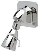 Zurn Chrome Plated Single Function Needle Spray Showerhead in Chrome Plated 