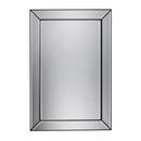 24 in. Decorative Mirror in Clear