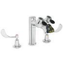 Eye Wash and Widespread Faucet Combination in Polished Chrome
