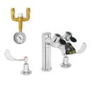 Speakman Polished Chrome Eye Wash and Widespread Faucet Combination with Thermostatic Mixing Valve 