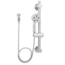 Multifunction Hand Shower and Grab Bar in Polished Chrome