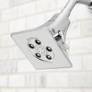 Speakman Polished Chrome 2 gpm Raincan Showerhead 