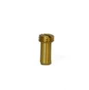 Delany Products Cover Screw 