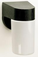 13 W 1-Light Medium Lantern with Lexan Cylinder in Black