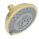 Newport Brass Satin Brass - PVD Multi Function Spray, Rain and Massage Showerhead 