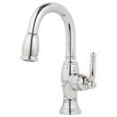 Newport Brass Polished Chrome Bar or Prep Faucet with Single Lever Handle 