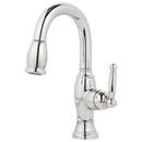 1-Hole Pull-Down Bar or Prep Sink Faucet with Single Lever Handle in Polished Chrome