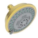 Newport Brass Satin Gold - PVD Multi Spray,Rain and Massage Showerhead 