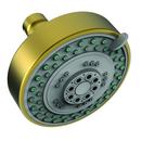 Newport Brass Satin Brass - PVD Multi Function Rain, Spray and Massage Showerhead 