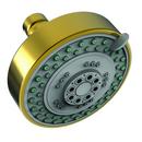 Newport Brass Polished Gold - PVD Multi Rain,Spray and Massage Showerhead 