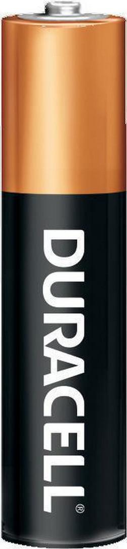 1.5V AAA Alkaline Battery 4-Pack