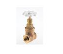 1 in. Forged Brass Threaded Gate Valve