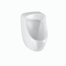 14-3/16 in. 1 gpf Small Urinal with Rear Spud Placement in White