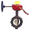4 in. 250 psi Ductile Iron Wafer Butterfly Valve Gear Operator Switch
