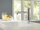 Delta Faucet Chrome Single Handle Pull Out Kitchen Faucet 