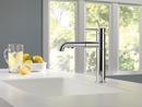 Delta Faucet Chrome Single Handle Pull Out Kitchen Faucet 