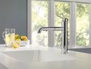 Delta Faucet Chrome Single Handle Pull Out Kitchen Faucet 