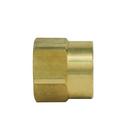 BrassCraft FIP x FHT Brass Hose Adapter 