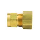 BrassCraft OD Tube x FIP Brass Compression Union 