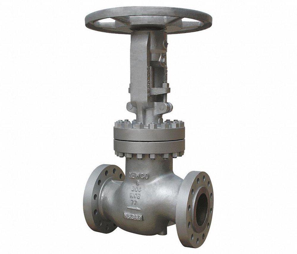 Newco Valves Carbon Steel Flanged Extension Globe Valve 