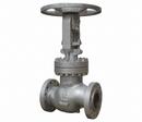4 in. Carbon Steel Flanged Extension Globe Valve