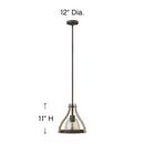Fredrick Ramond Iron Rust Medium E-26 Base Pendant Ceiling Light 