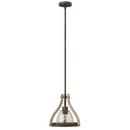 Fredrick Ramond Iron Rust Medium E-26 Base Pendant Ceiling Light 