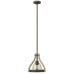 Medium E-26 Base Pendant Ceiling Light in Iron Rust