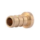 SharkBite&reg; Natural Brass Barbed PEX Plug 