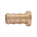 SharkBite&reg; Natural Brass Barbed PEX Plug 