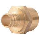 3/4 in. Brass PEX Crimp x 1 in. MPT Adapter