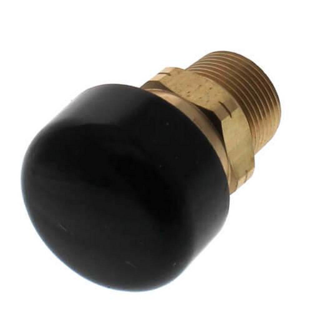 Cash Acme NPT Brass 200 psi Air Release & Vacuum Valve 