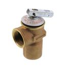 Cash Acme Brass FIPT 30# Relief Valve 