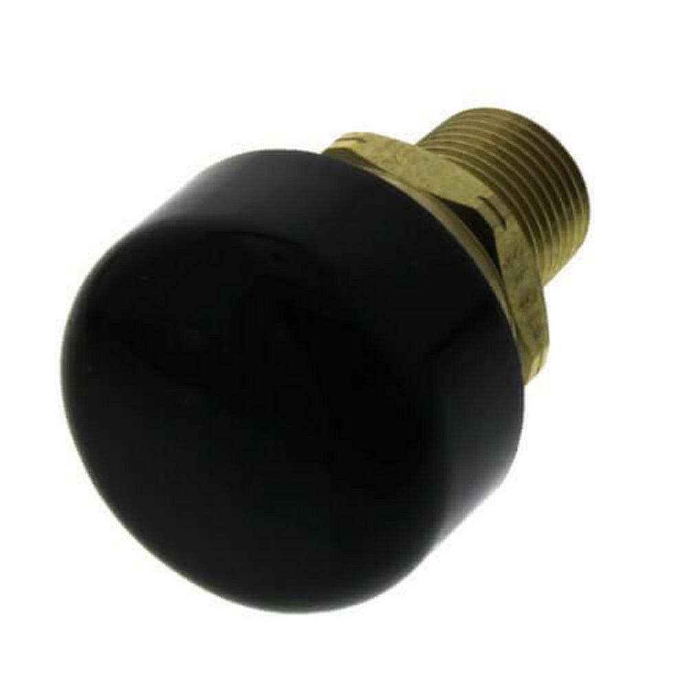 Cash Acme NPT Brass 200 psi Air Release & Vacuum Valve 