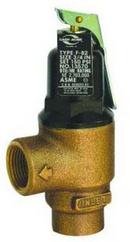 Cash Acme Stainless Steel Bronze FNPT 150# Relief Valve 