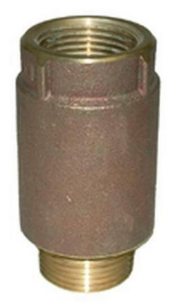 1 x 1-1/4 in. FPT x MPT Brass Check Valve